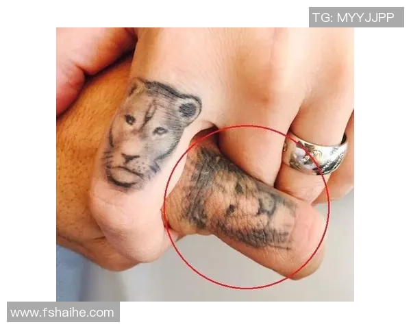 足球明星背部狮子纹身的寓意与故事揭秘让我们一起探索他们的个性与信念