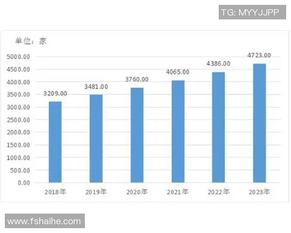 足球明星社交媒体粉丝增长趋势分析与影响因素探讨